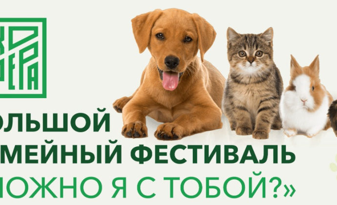 Экосфера